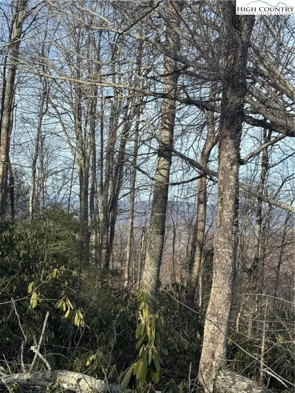 226 Greenbriar Road, Beech Mountain, NC 28604 - Image #3