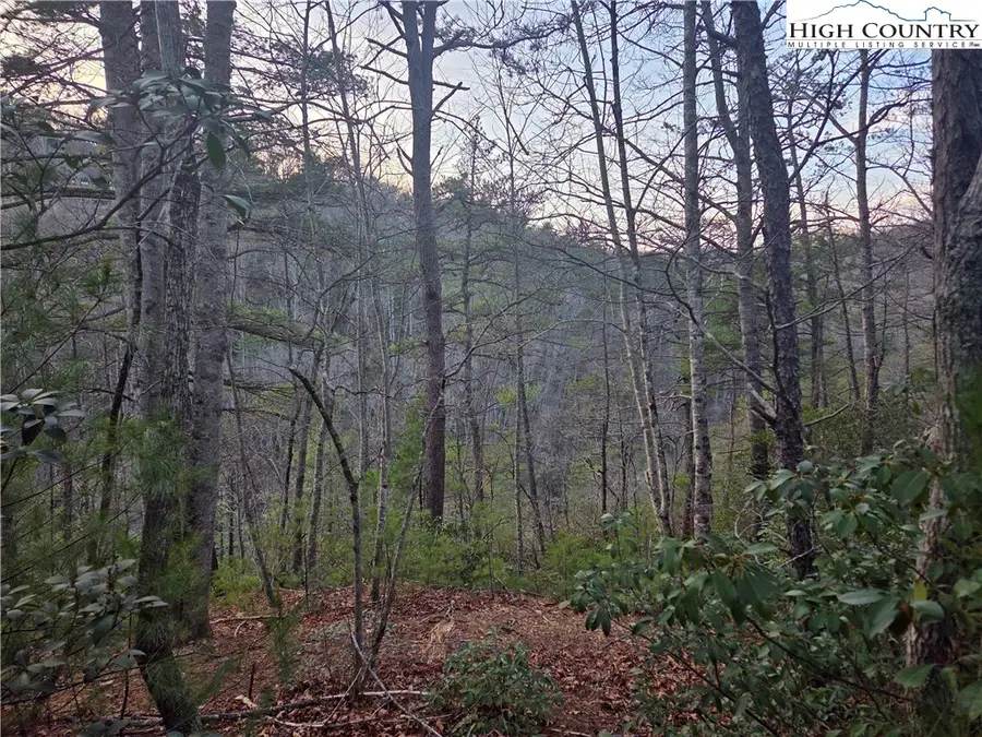 Lot94/95 Roaring Ridge Road, Deep Gap, NC 28618 - Image #2
