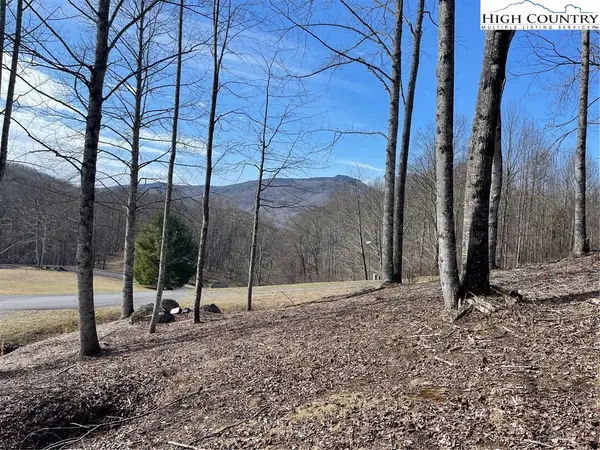 9 Jackson Ridge Road, Boone, NC 28607