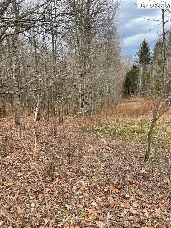 TBD Old Mountain Road, Banner Elk, NC 28604 - #1