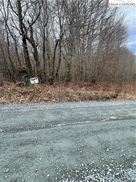 TBD Old Mountain Road, Banner Elk, NC 28604 - #3