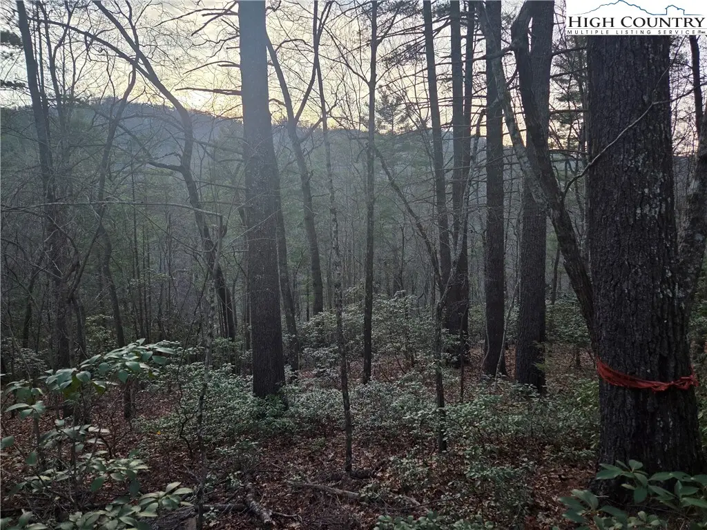 Lot 105 Roaring Ridge Road, Deep Gap, NC 28618 - Image #1