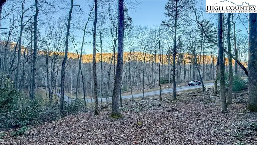 TBD Lot 61 Wildcat Wilderness Parkway, Deep Gap, NC 28618 - #2