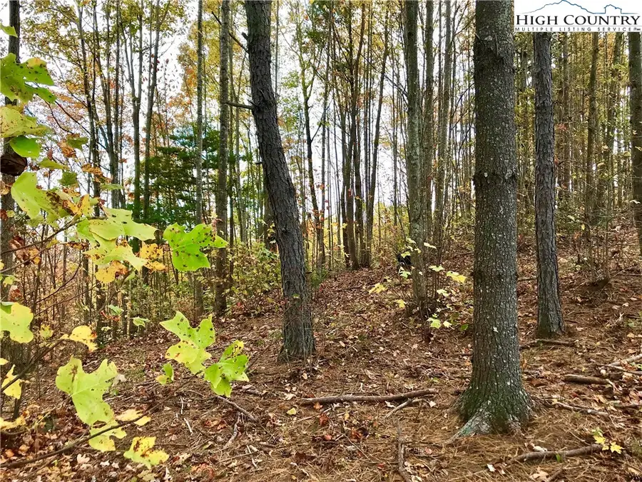 TBD Johns Ridge Parkway, Lenoir, NC 28645 - Image #2