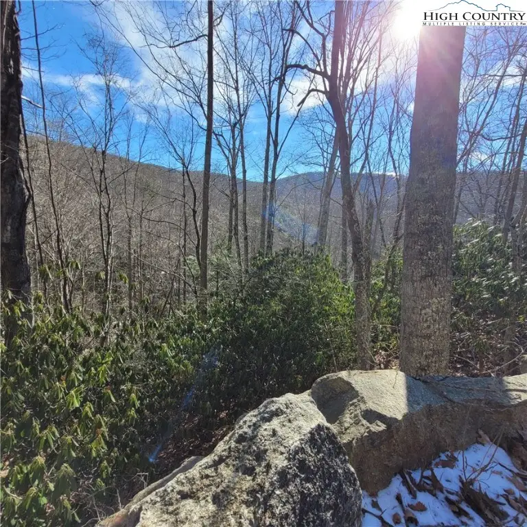 253 Poplar Road, Beech Mountain, NC 28604 - #2