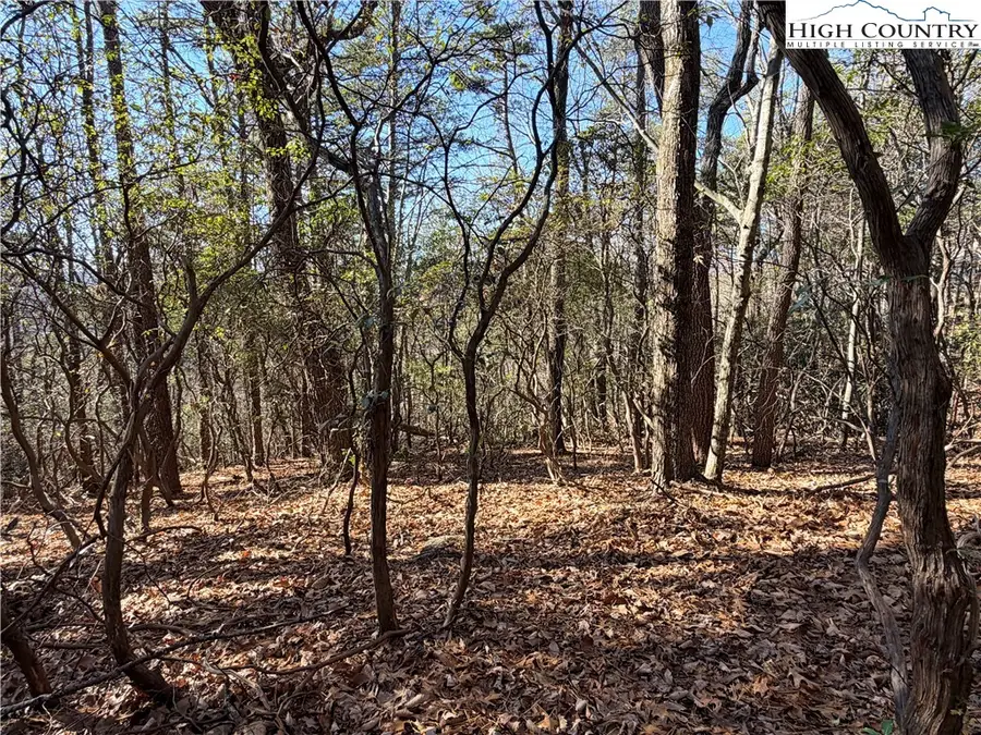Lot 27 Bobcat Mountain Road, Purlear, NC 28665 - #3