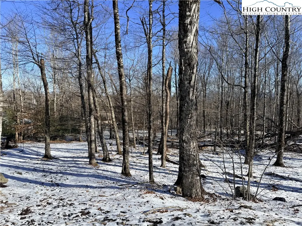 102 Northridge Road, Beech Mountain, NC 28604 - Image #1