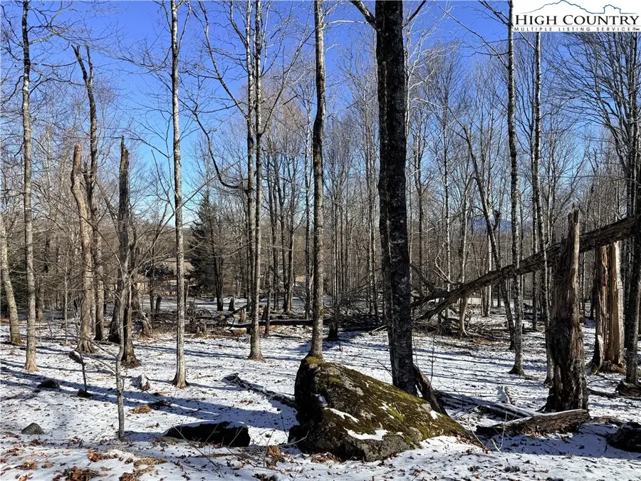 102 Northridge Road, Beech Mountain, NC 28604 - Image #3