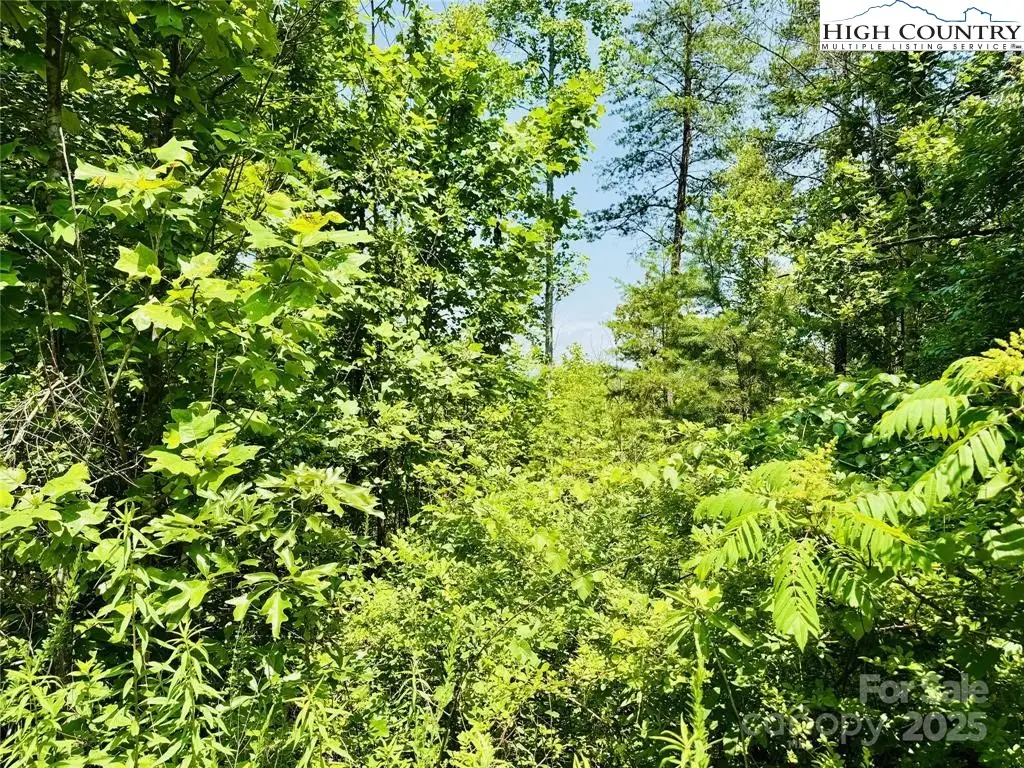 2.66 acres High Valley Way, Lenoir, NC 28645 - Image #1