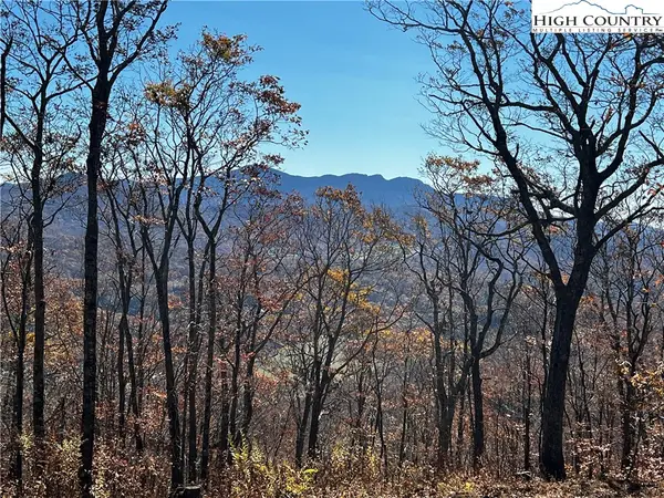 Lot 2 Chappell Farm Road, Banner Elk, NC 28604