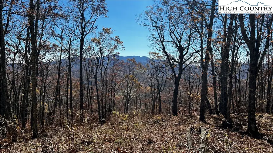 Lot 2 Chappell Farm Road, Banner Elk, NC 28604 - #3
