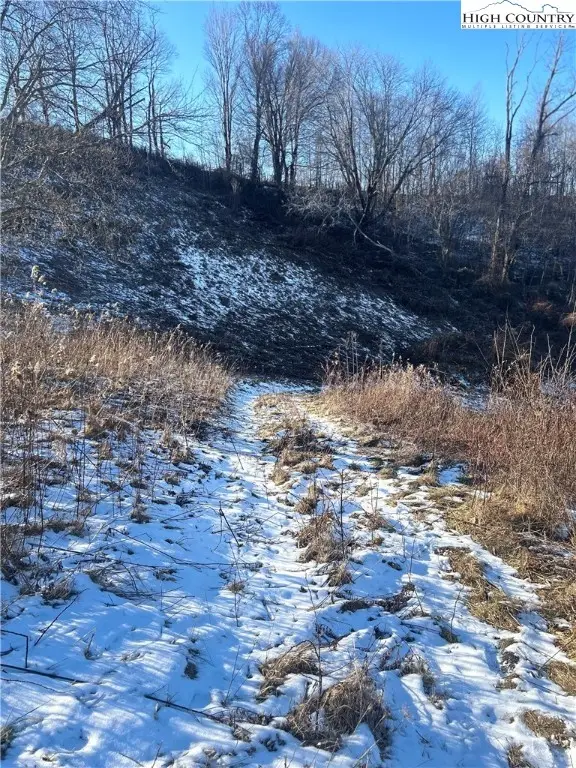 8173 Old Us Highway 421, Zionville, NC 28698 - #3