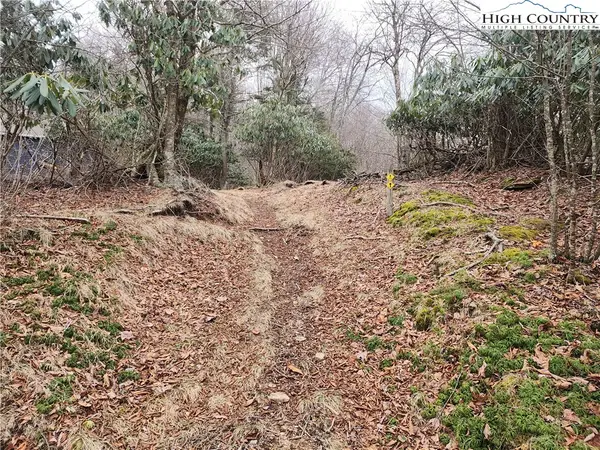 TBD Staghorn Hollow, Beech Mountain, NC 28604