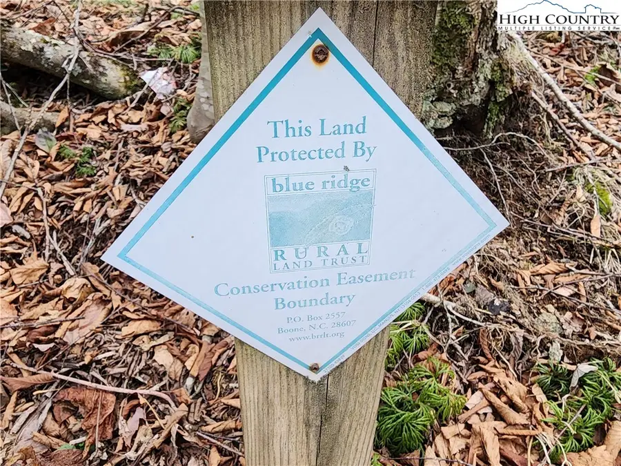 TBD Staghorn Hollow, Beech Mountain, NC 28604 - #2