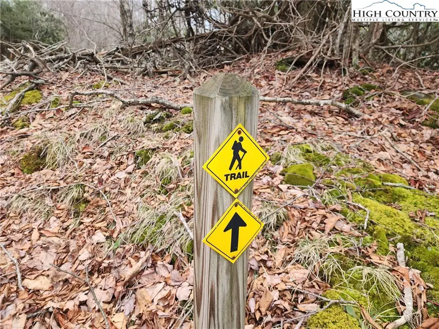 TBD Staghorn Hollow, Beech Mountain, NC 28604 - #3