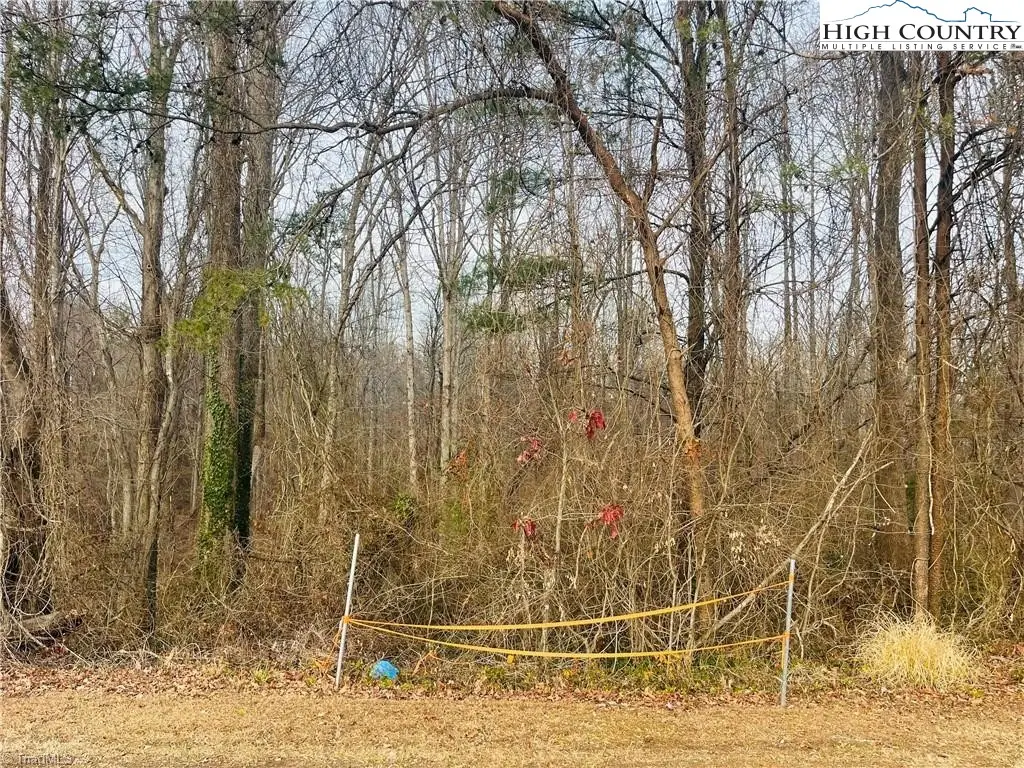 000 Union Hill Road, Thurmond, NC 28683 - #1