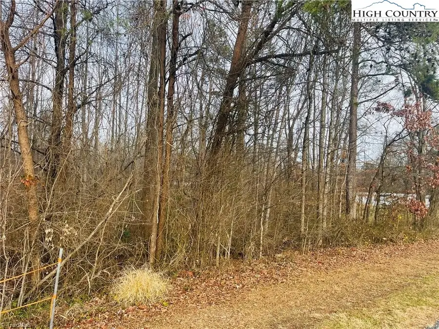 000 Union Hill Road, Thurmond, NC 28683 - #2