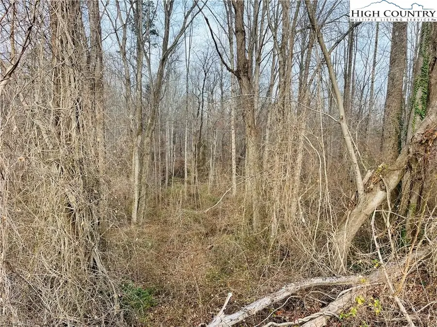 000 Union Hill Road, Thurmond, NC 28683 - #3