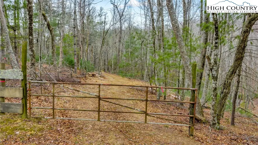 TBD Gentry Hill Lane, Laurel Springs, NC 28644 - #2