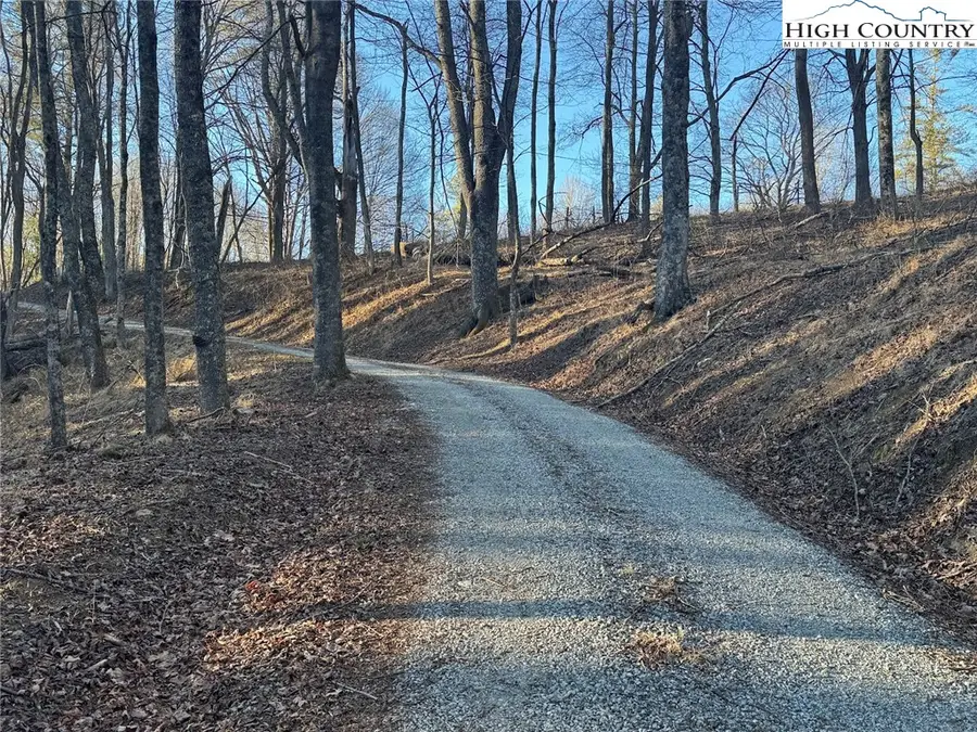 TBD Gentry Hill Lane, Laurel Springs, NC 28644 - #3