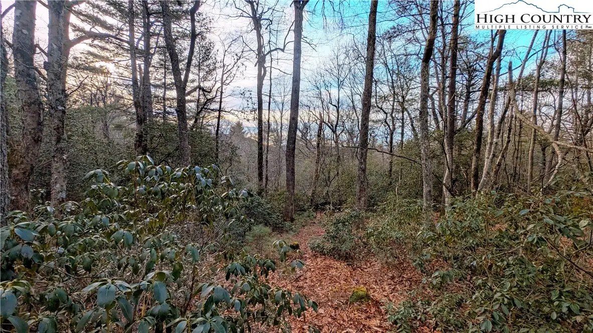 Lot 29 Walden Lane, West Jefferson, NC 28694 - #1