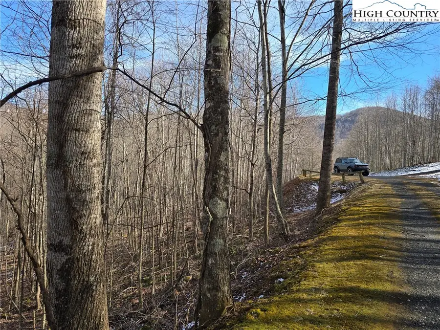 Lot 22 Bluff Canyon Drive, West Jefferson Township, NC 28684 - #3