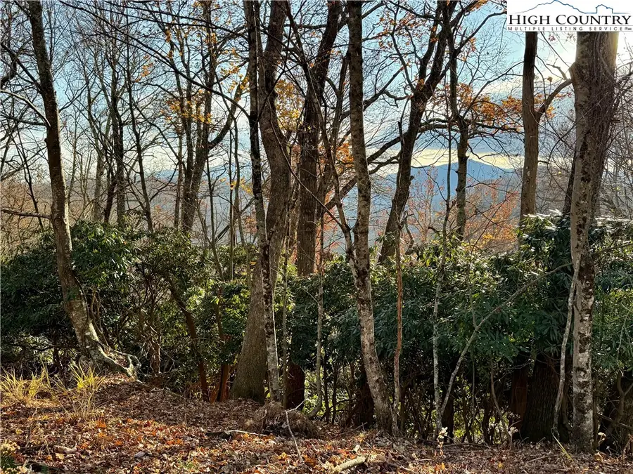 TBD Pheasant Walk Way, Vilas, NC 28692 - Image #2