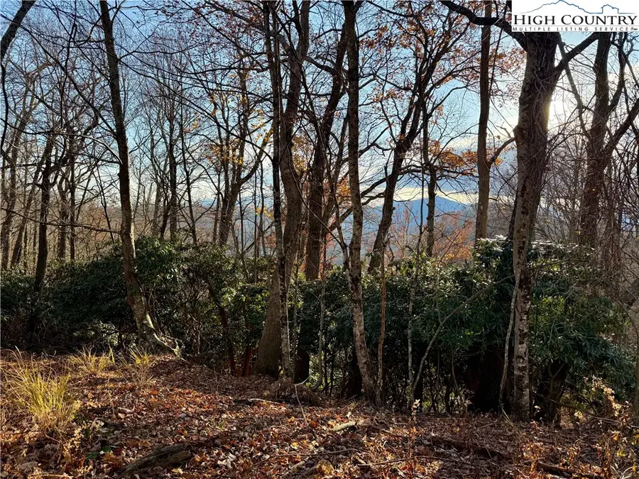 TBD Pheasant Walk Way, Vilas, NC 28692 - Image #3