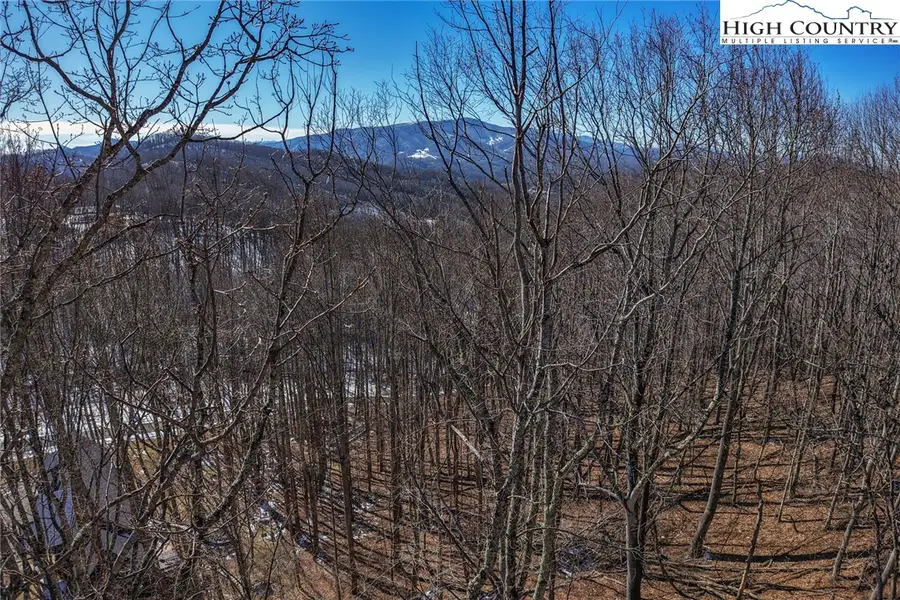 C-92 Smokerise Drive, Banner Elk, NC 28604 - #3