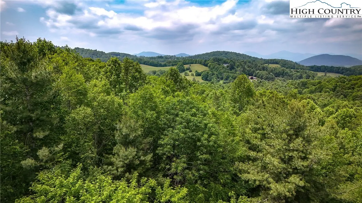Lot 5 Wapiti Way, Boone, NC 28607 - #1