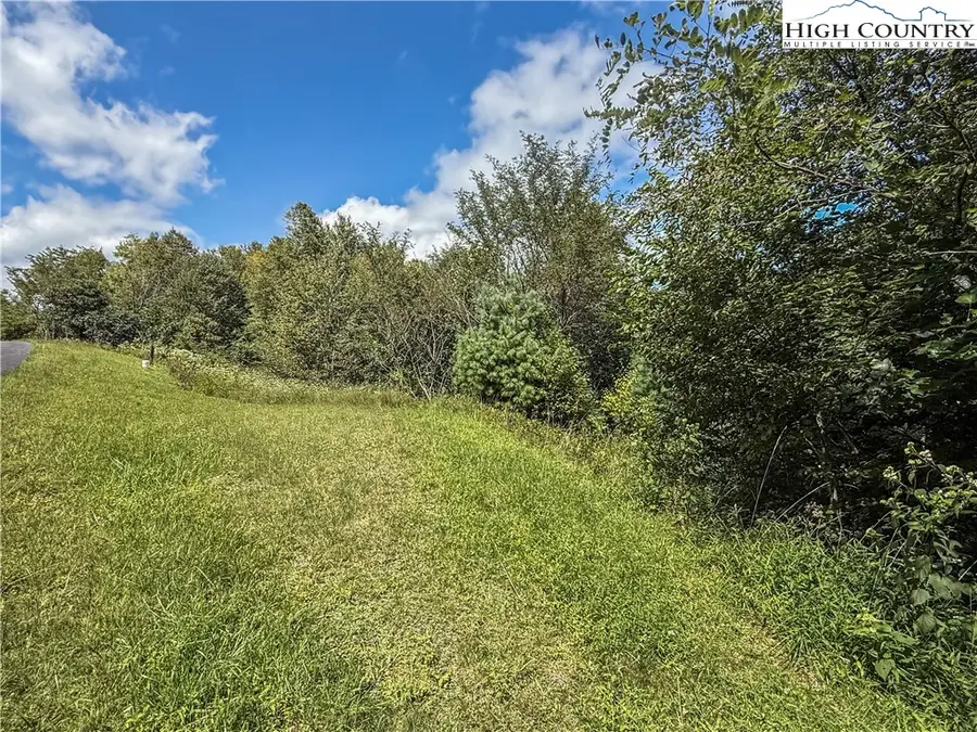 Lot 5 Wapiti Way, Boone, NC 28607 - #3