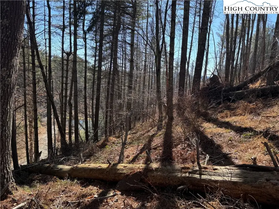 Lot 16 Woodlands Drive, Piney Creek, NC 28663 - #2