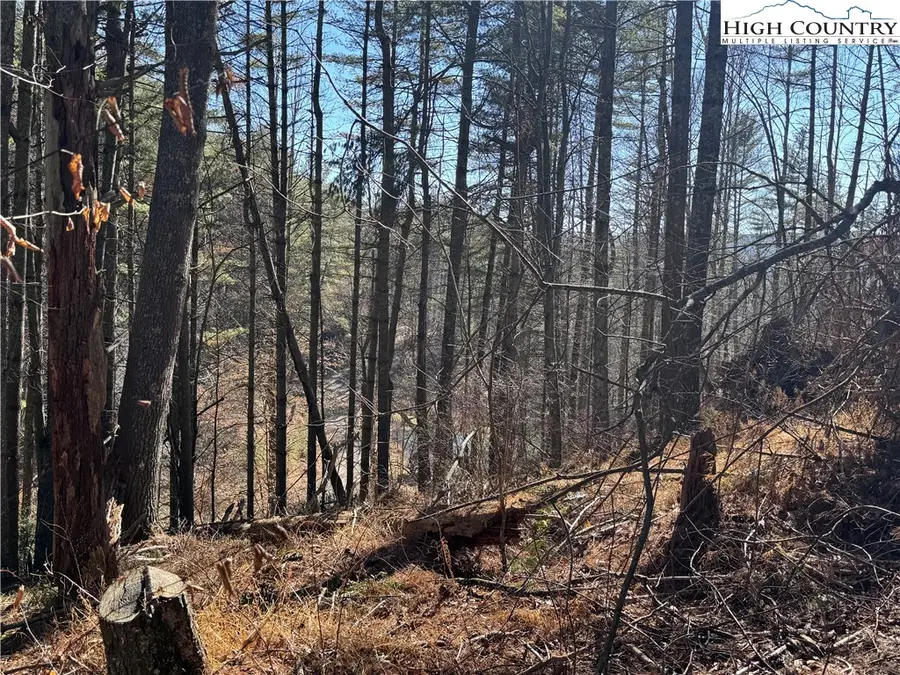 Lot 16 Woodlands Drive, Piney Creek, NC 28663 - #3