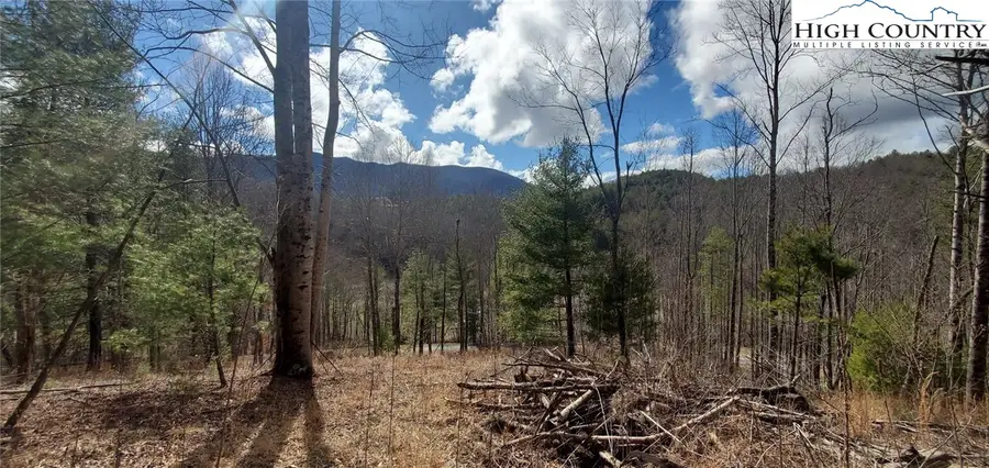 Lot 3 Venue Views Drive, Lansing, NC 28643 - #2