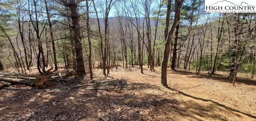 Lot 3 Venue Views Drive, Lansing, NC 28643 - #3