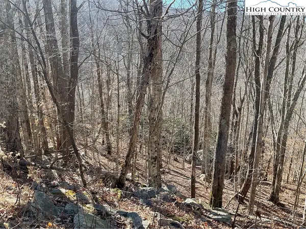 104 Wintercrest Lane, Beech Mountain, NC 28604