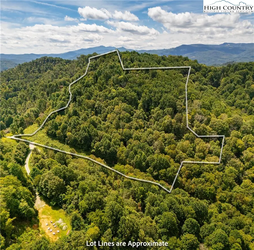 TBD Georges Gap Road, Vilas, NC 28692 - #3