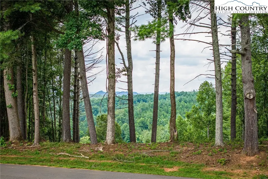 2070 Thoroughbred Way, Lenoir, NC 28645 - #3