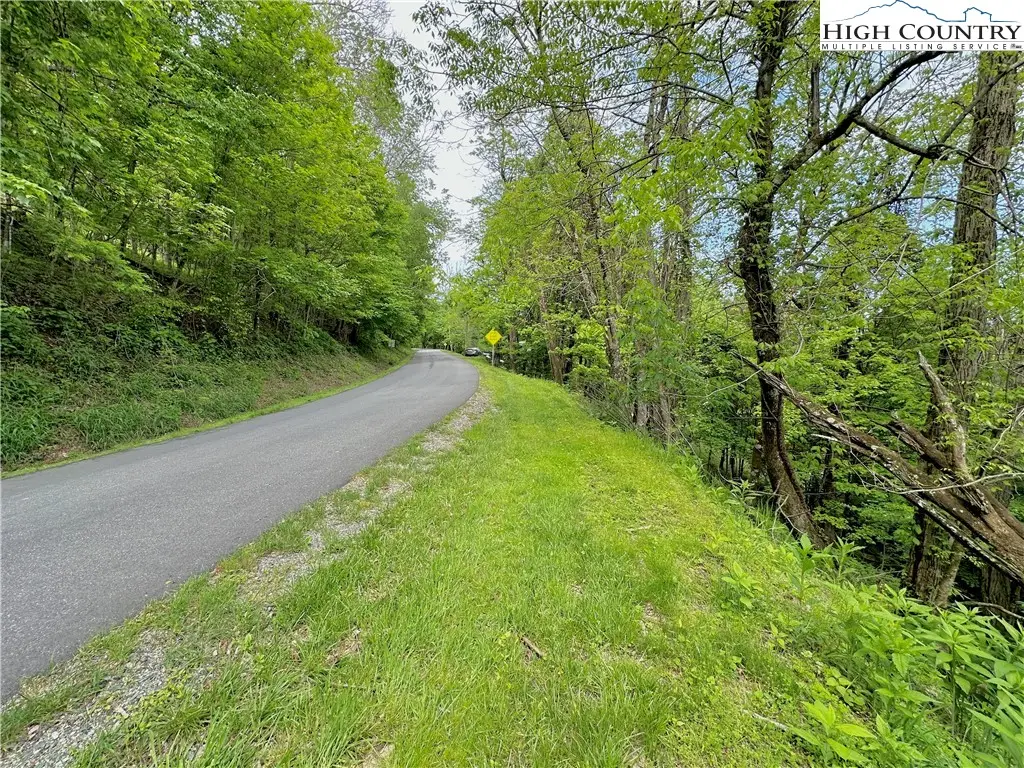 TBD Alpine Drive, Seven Devils, NC 28604 - #1