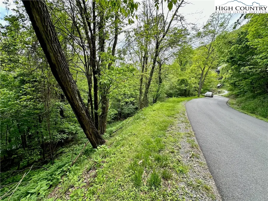 TBD Alpine Drive, Seven Devils, NC 28604 - #2