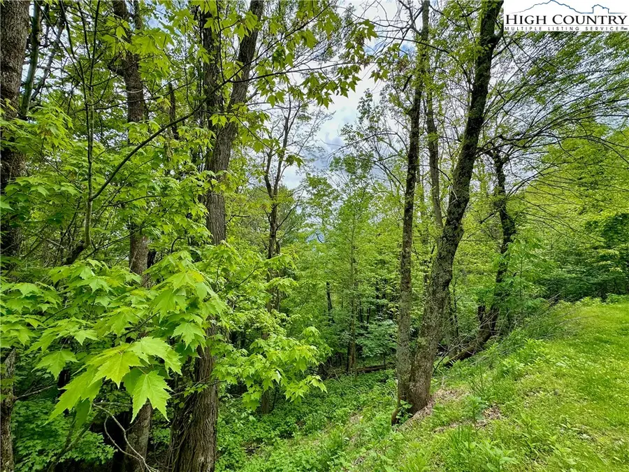 TBD Alpine Drive, Seven Devils, NC 28604 - #3