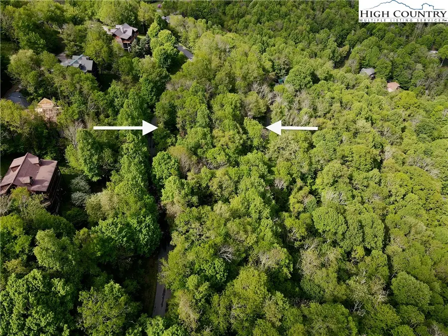 TBD Alpine Drive, Seven Devils, NC 28604 - #3