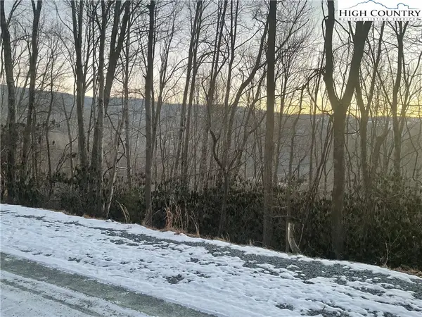 193 Rhododendron Drive, Beech Mountain, NC 28604