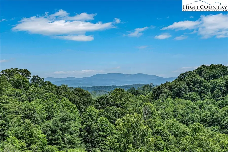 12443 Old Hwy 16, Grassy Creek, NC 28631 - #3