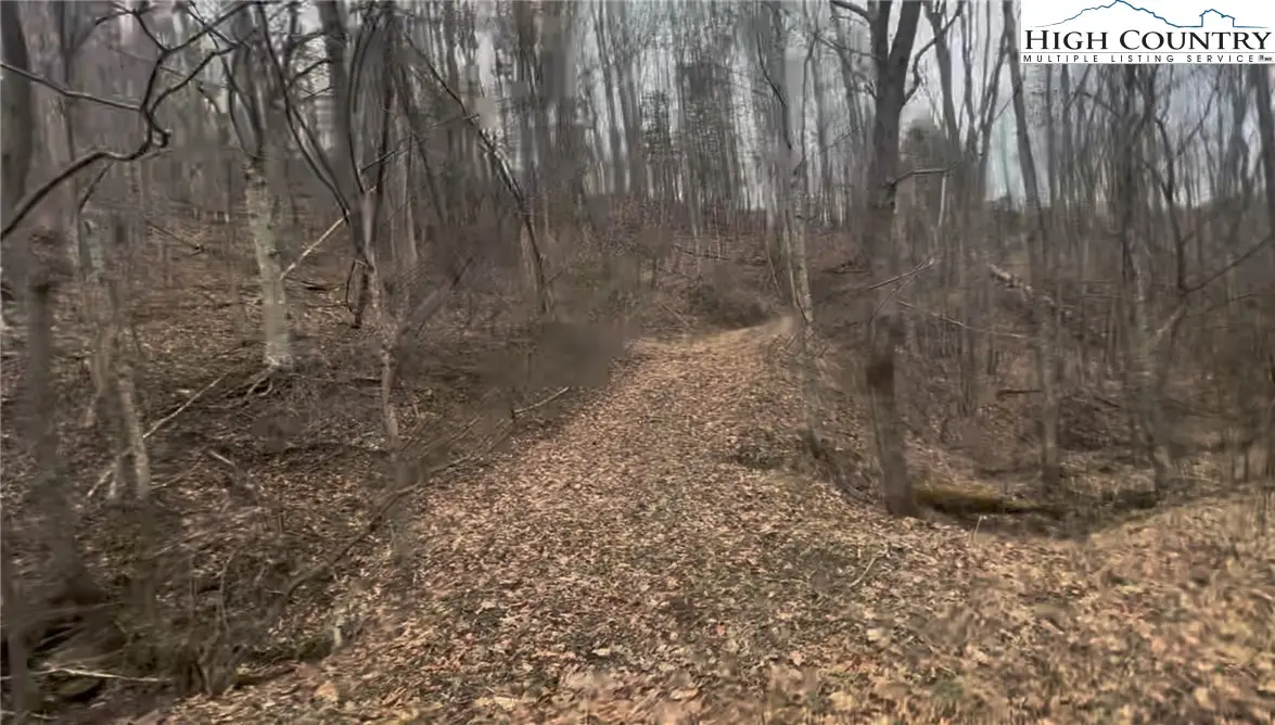 TBD Martinez Road, Crumpler, NC 28617 - Image #1