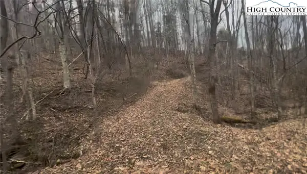 TBD Martinez Road, Crumpler, NC 28617