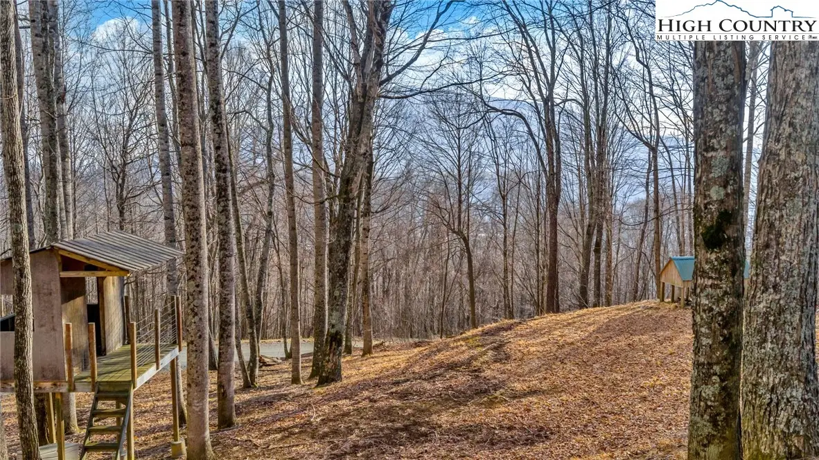 TBD- 13 Townview Street, West Jefferson, NC 28694 - #1