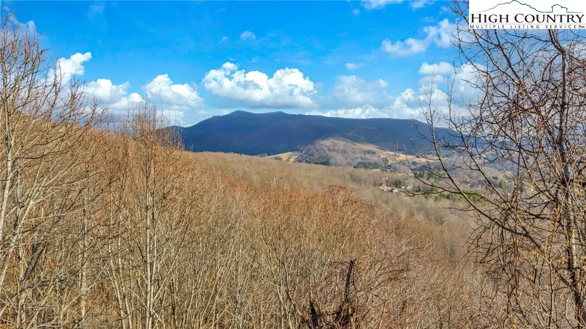 TBD-20 Townview Street, West Jefferson, NC 28694 - Image #1