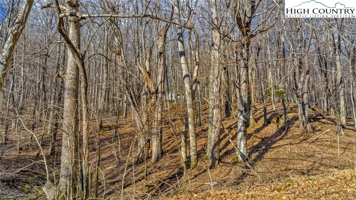 TBD- 23 Locust Circle, West Jefferson, NC 28694 - #1