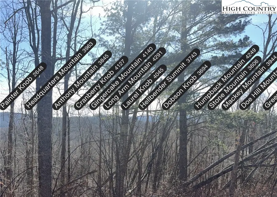 TBD Linhigh Drive, Linville, NC 28646 - Image #2